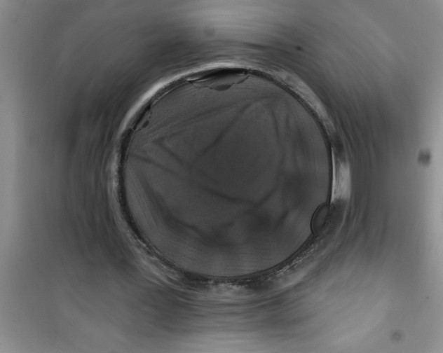 X0000100970387200807221215