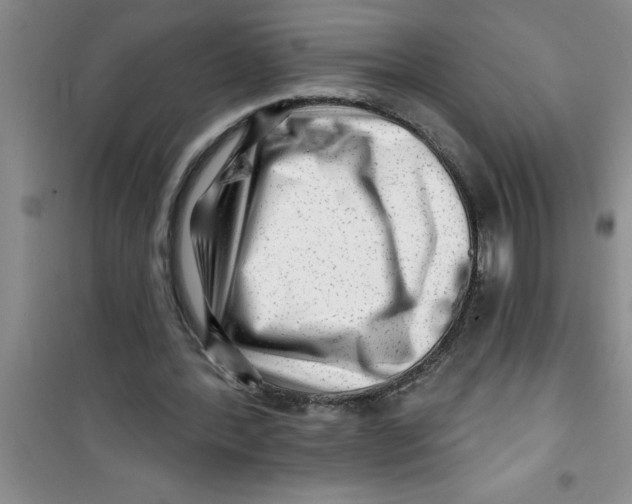 X0000100970388200807221215