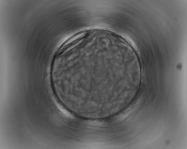 X0000100970389200807221215