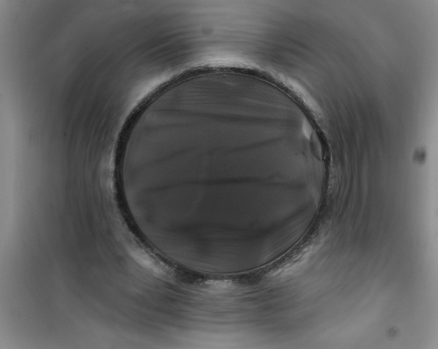 X0000100970391200807221215