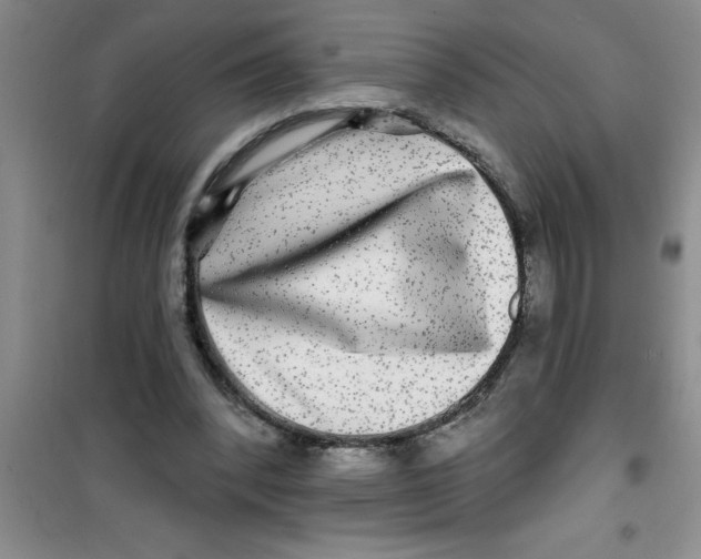 X0000100970392200807221215