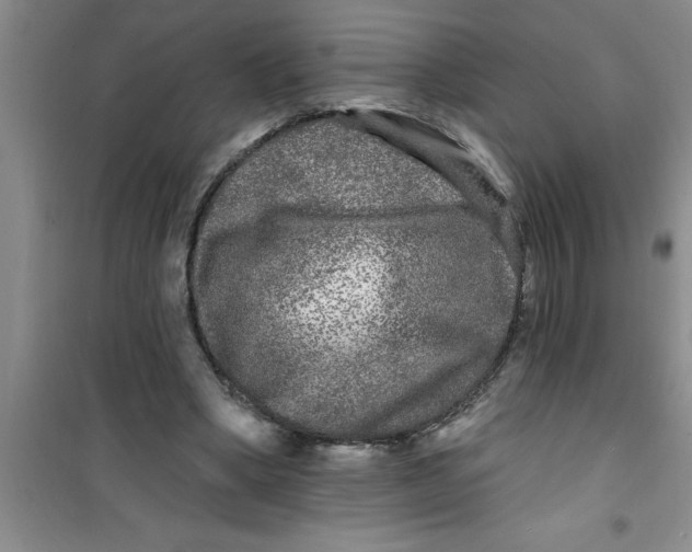 X0000100970394200807221215
