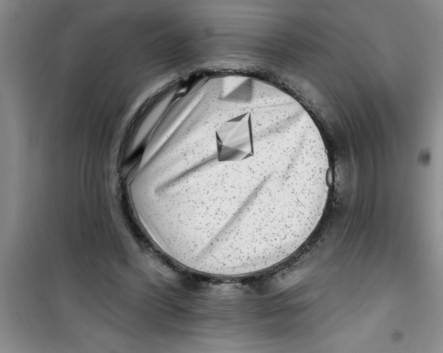 X0000100970396200807221215