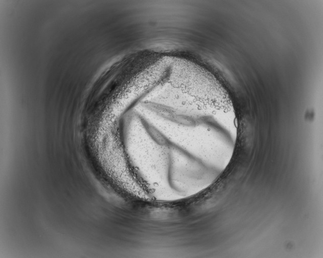 X0000100970400200807221215