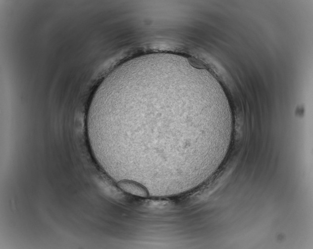 X0000100970401200807221215