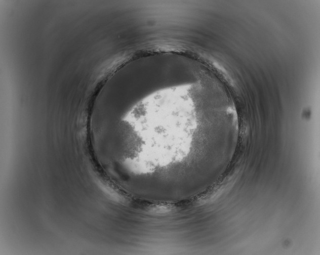 X0000100970402200807221215