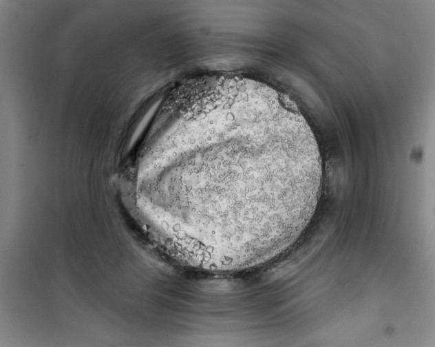 X0000100970404200807221215