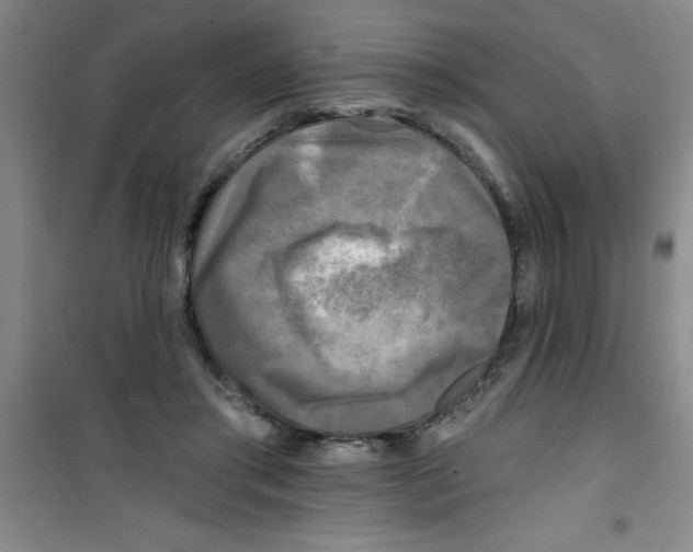 X0000100970405200807221215