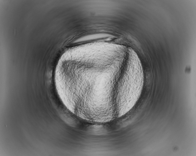 X0000100970406200807221215