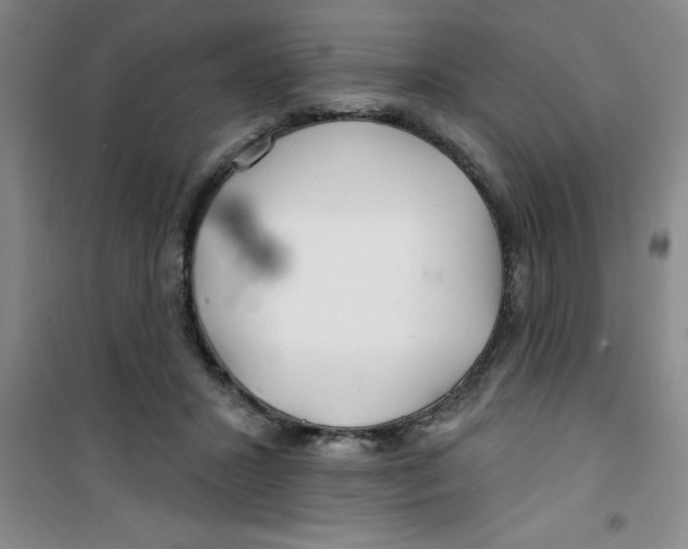 X0000100970407200807221215