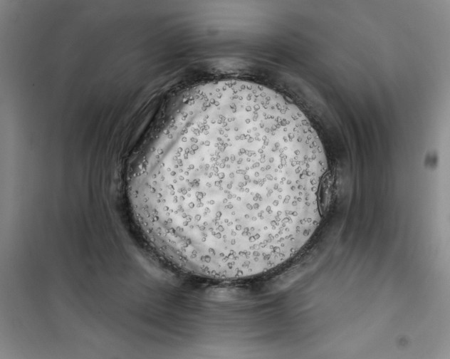 X0000100970408200807221215