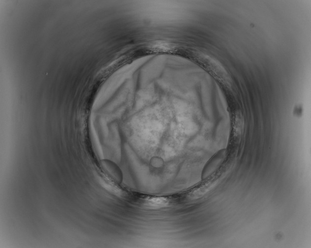 X0000100970409200807221215