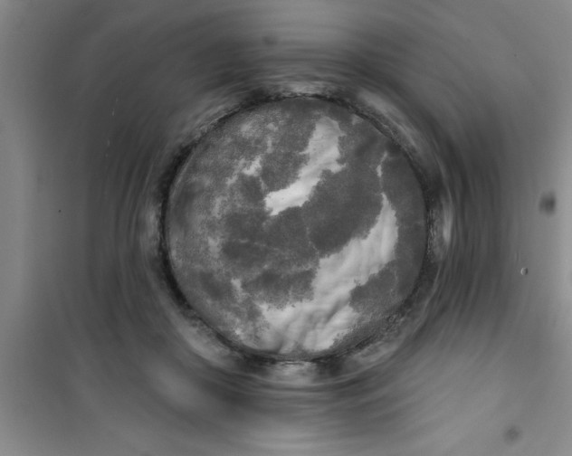X0000100970410200807221215