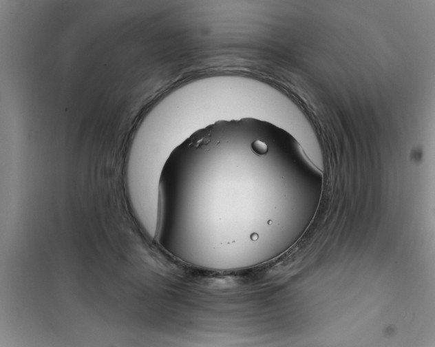 X0000100970411200807221215