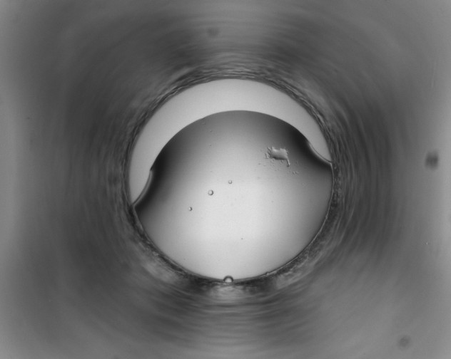 X0000100970413200807221214