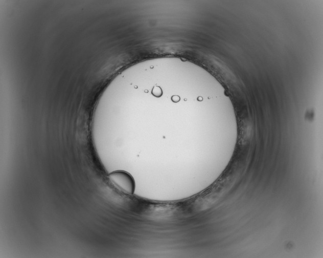 X0000100970414200807221214