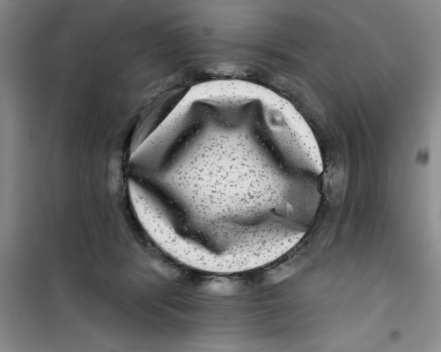 X0000100970416200807221214