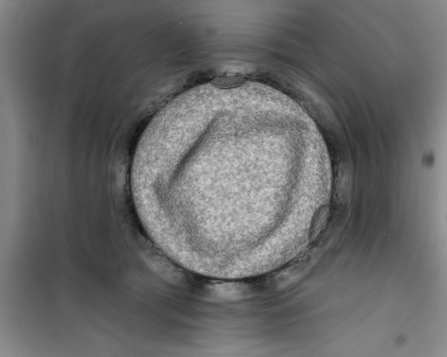 X0000100970417200807221214