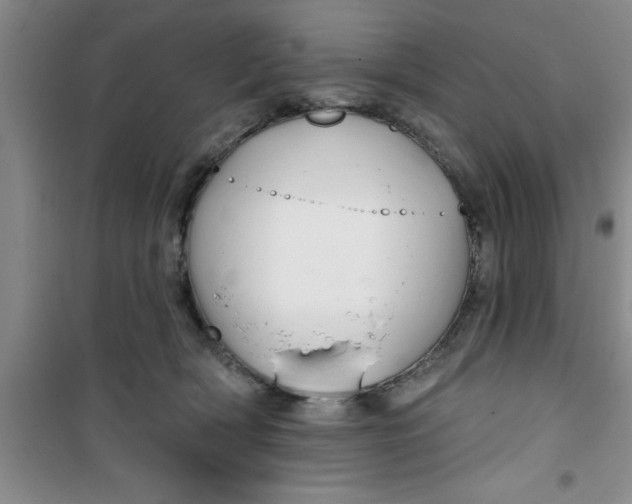 X0000100970418200807221214
