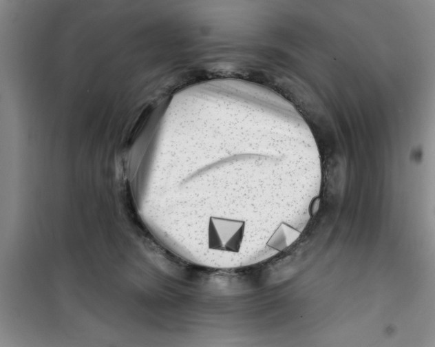 X0000100970420200807221214