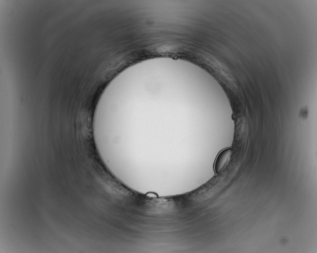 X0000100970421200807221214