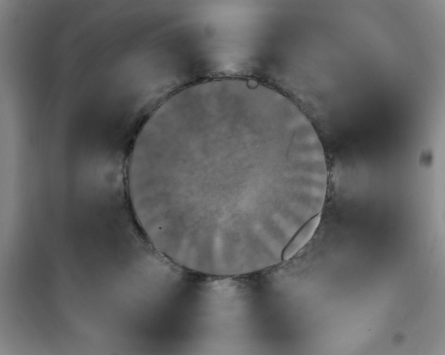 X0000100970423200807221214