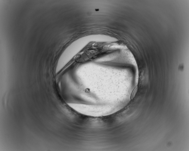 X0000100970424200807221214