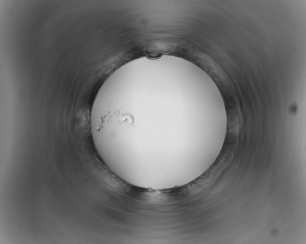 X0000100970425200807221214