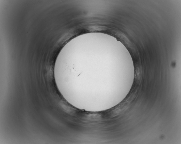 X0000100970426200807221214