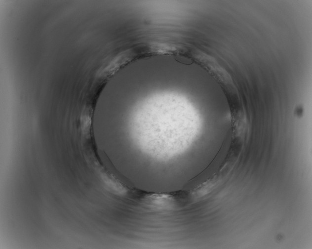 X0000100970427200807221214