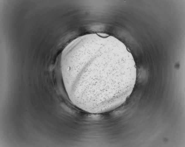 X0000100970428200807221214