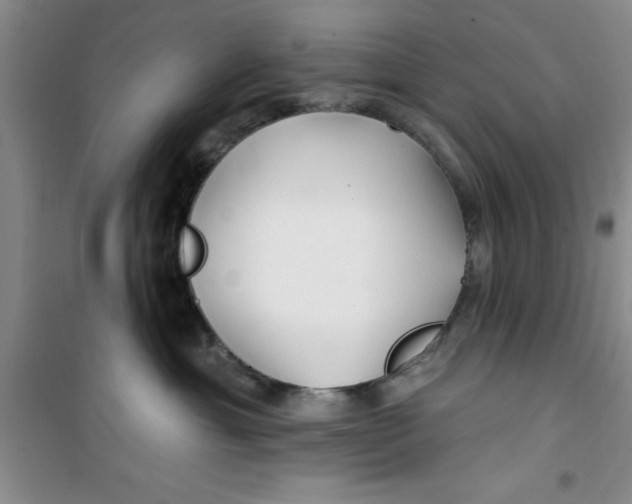 X0000100970429200807221214