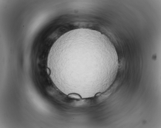 X0000100970430200807221214