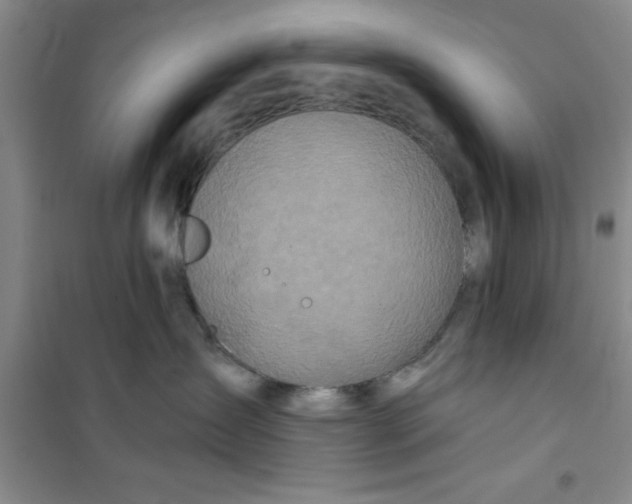 X0000100970431200807221214
