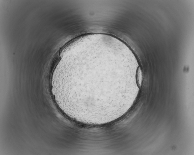 X0000100970433200807221213
