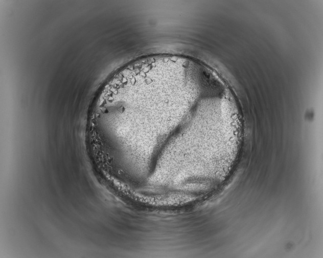 X0000100970434200807221213