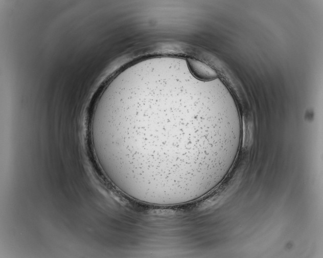 X0000100970435200807221213