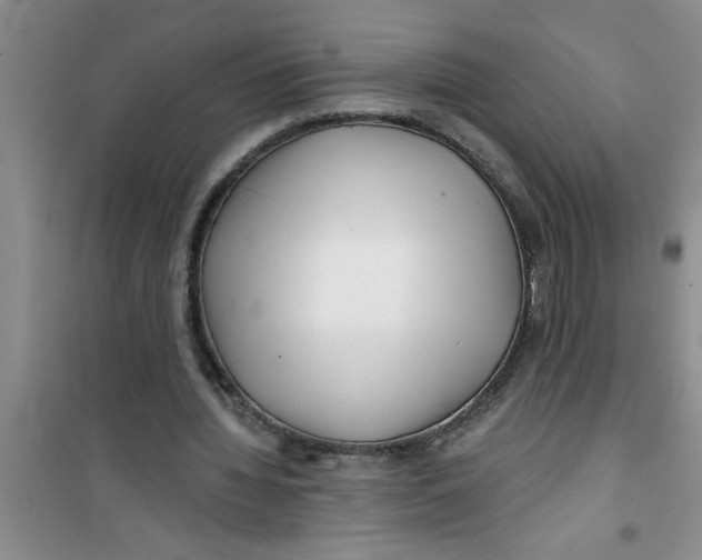 X0000100970436200807221213
