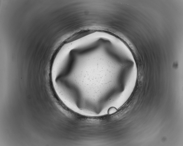 X0000100970437200807221213