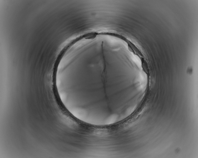 X0000100970438200807221213