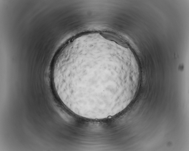 X0000100970439200807221213
