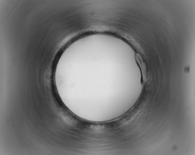 X0000100970440200807221213