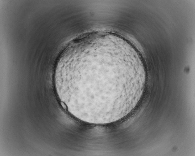 X0000100970441200807221213