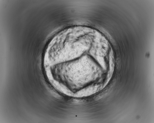 X0000100970442200807221213