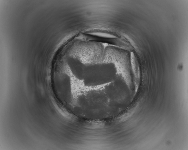 X0000100970443200807221213