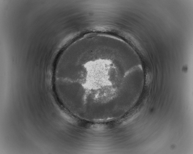 X0000100970444200807221213