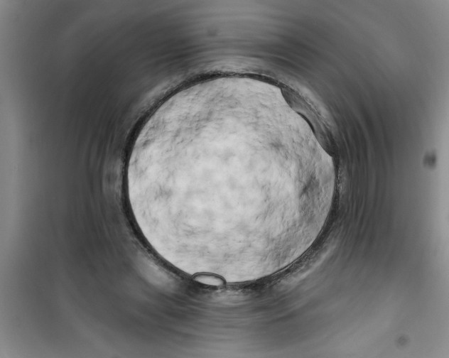 X0000100970445200807221213