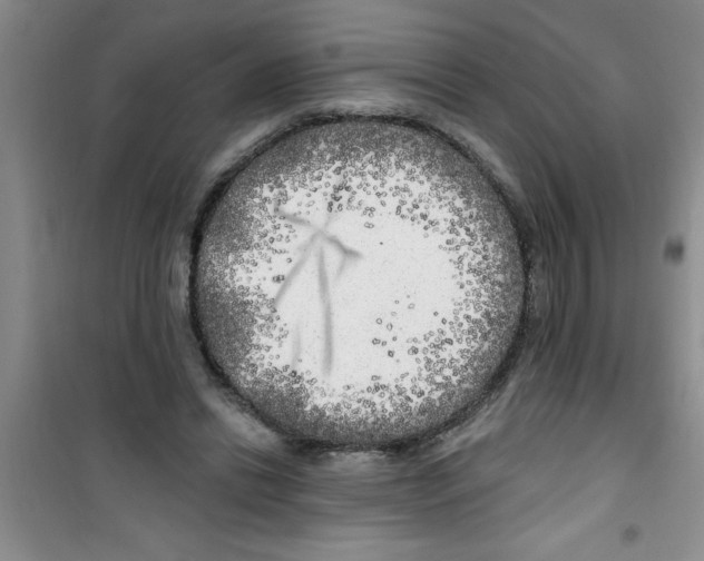 X0000100970446200807221213