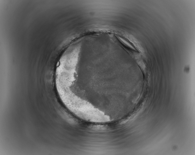 X0000100970449200807221213