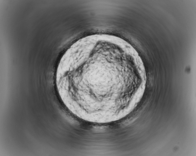 X0000100970450200807221213